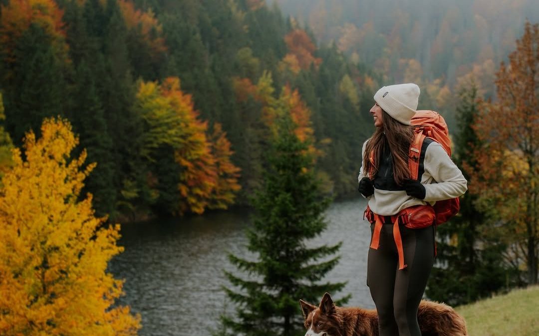 Stress-Free Adventures with Your Dog: A Simple Guide That Works